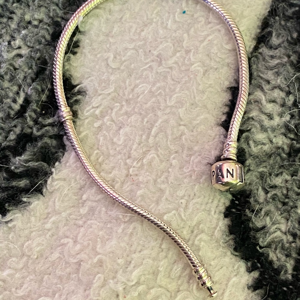 Pandora charm bracelet